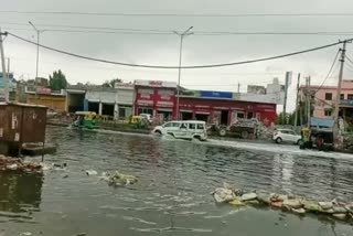 contaminated water released in rewari