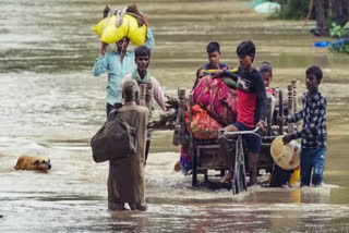Flood rage in Punjab and Assam, at least 1.25 lakh people affected