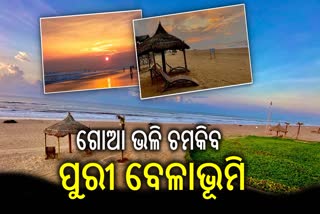 Puri Beach Development project