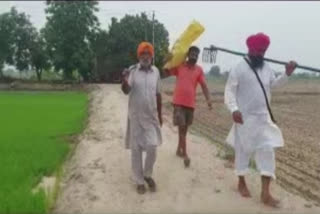 Punjab: Bhatinda villagers to give free rice paddy to flood-affected farmers