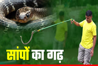 Balaghat snake stronghold