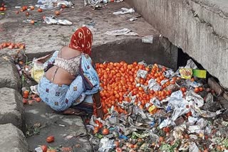 tomato-price-woman-was-seen-plucking-expensive-tomatoes-from-garbage-in-surat-apmc