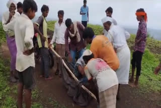 A pregnant tribal woman was carried in a blanket by relatives to a hospital as the village from which she hails has been deprived of roads. Lalbai Motiram Pavara, a tribal woman of Thuwanpani village, suffered labour pains. Immediately, her family members and relatives made a 'doli' with bamboo and put the pregnant woman in it, and have taken her to Gurhalpani on foot for 3 kilometres.