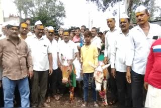 Donkey Wedding In Kolhapur