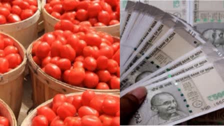 Tomato Price Hike