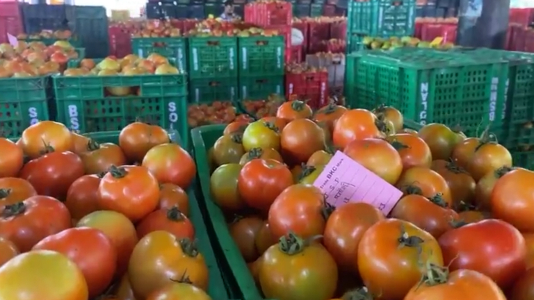 Tomato Prices Drop