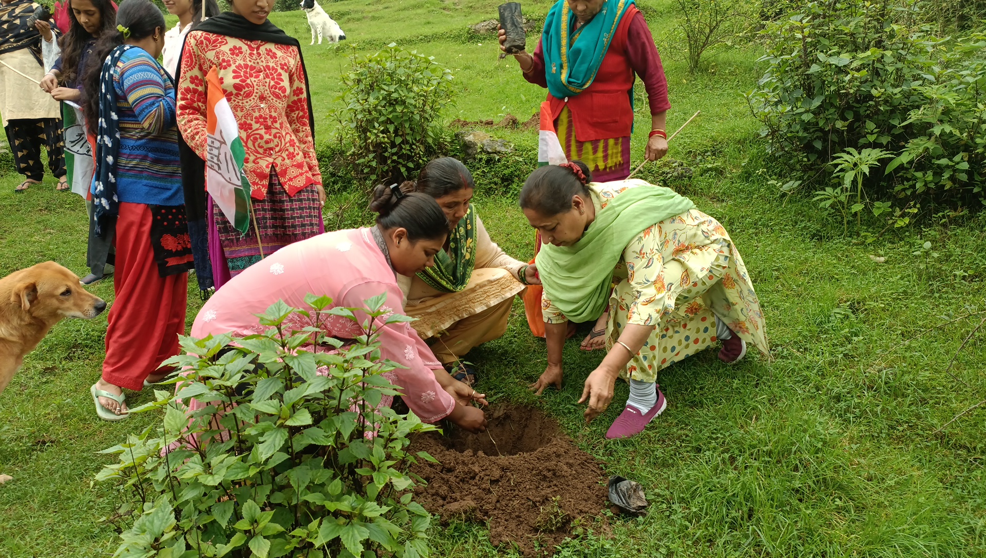 Harela Program in Almora