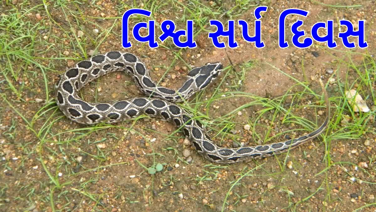 વિશ્વ સર્પ દિવસ