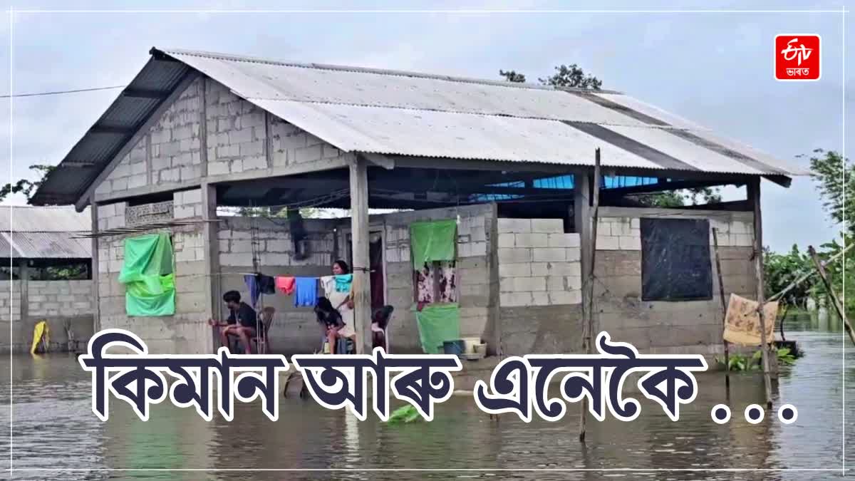 Assam Flood update