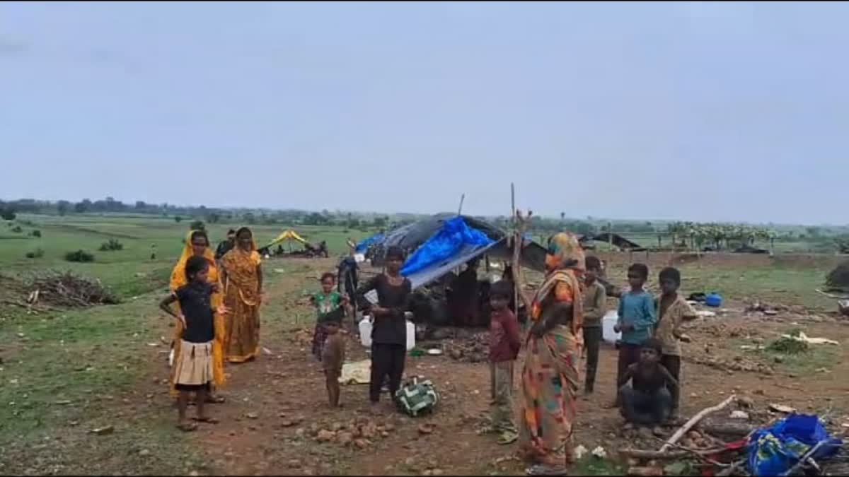 PARDIS CAPTURED VACANT LAND VIDISHA