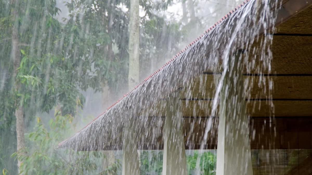 Chhattisgarh Monsoon