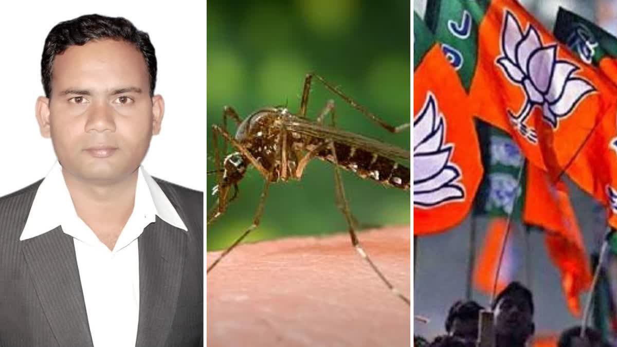 Malaria decreased in Congress government, mosquito bite cases increased in BJP