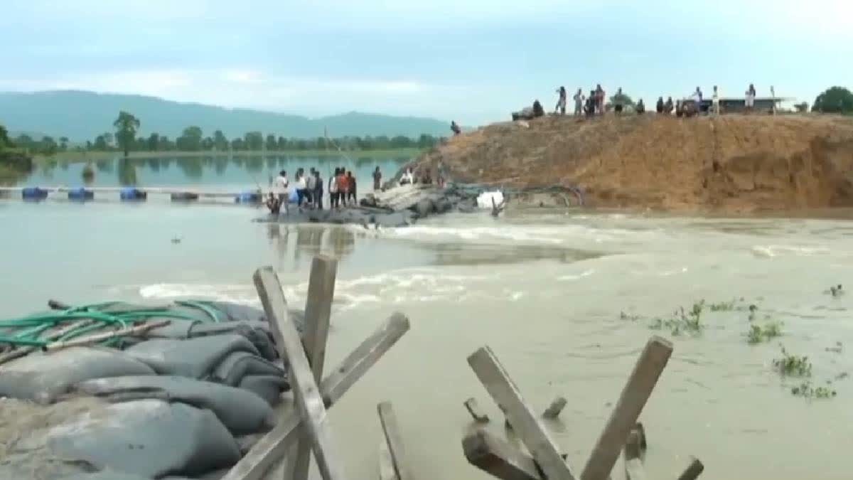 Assam Floods: Death Toll Rises To 96, 212 Wild Animals Die In Kaziranga