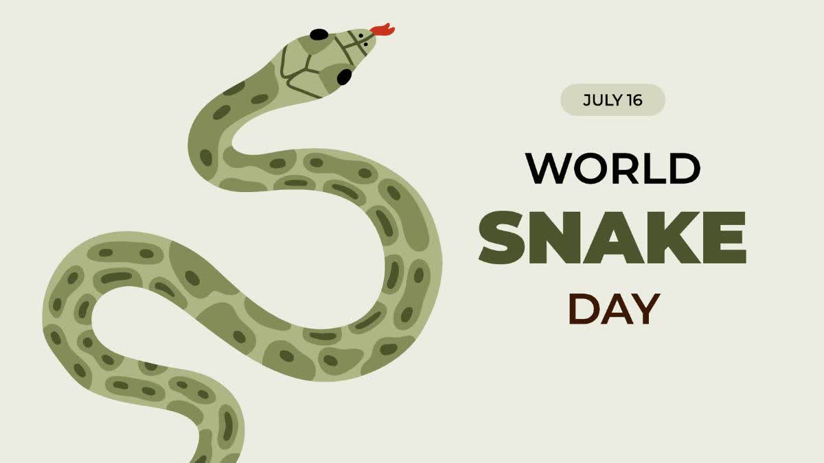 World Snake Day