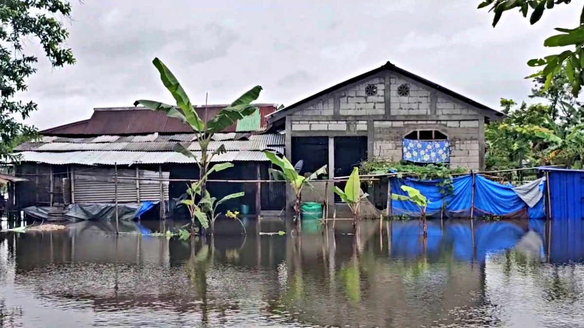 Assam Flood update