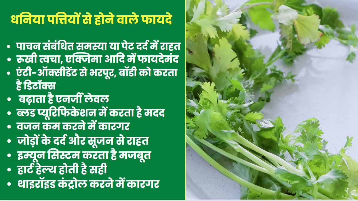 Benefits Of Coriander Leaves