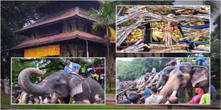 Elephant Feast at Thrissur's Vadakkunnathan Temple