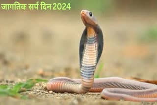 World Snake Day 2024