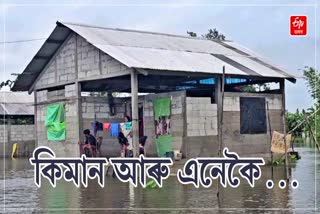 Assam Flood update