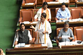 ASSEMBLY SESSION