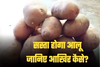 vegetables-price-potato-prices-will-fall-in india sabji mandi -know-how-and-when-in-hindi