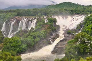 Cauvery RIVER  bharachukki falls  Chamarajanagar