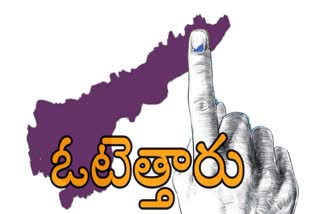 AP Election Voting Percentage 2024