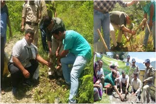 Uttarakhand Harela Festival