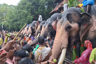 KARKADAKAM  SREE VADAKKUMNATHAN TEMPLE  വടക്കുംനാഥന്‍ ആനയൂട്ട്  കർക്കിടകം കനത്ത മഴ