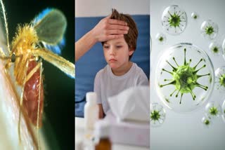 Chandipura Virus Infection: Symptoms, causes, how to protect children