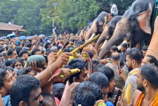 ஆனையூட்டு விழா