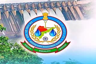 Krishna River Management Board issued orders For Drinking Water Supply