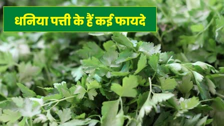 Benefits Of Coriander Leaves