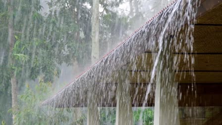 Chhattisgarh Monsoon