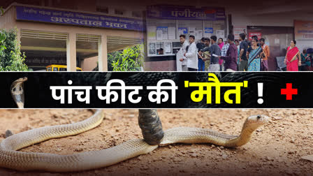 SNAKE BITE CASES IN BASTAR