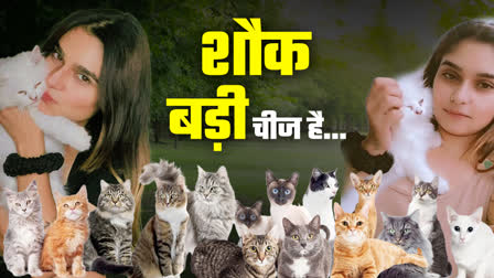 STORY OF UNIQUE CAT LOVER SOUMYA SONI