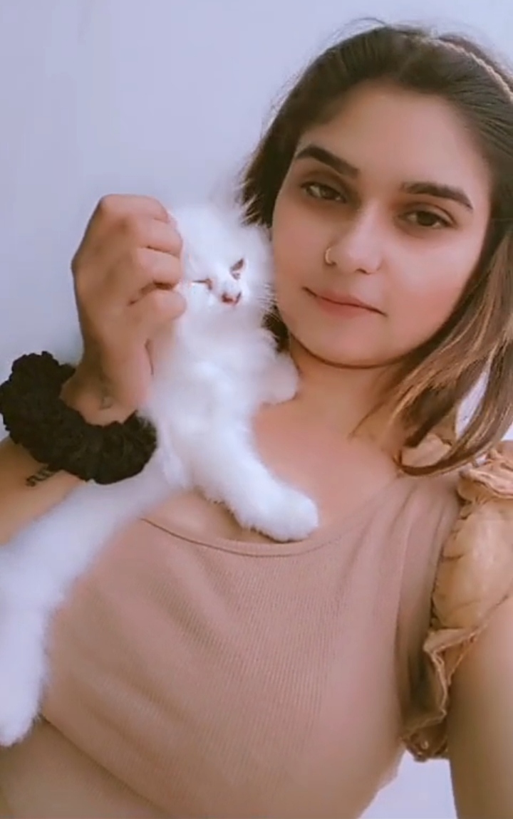 Unique cat love souyma soni chhatarpur