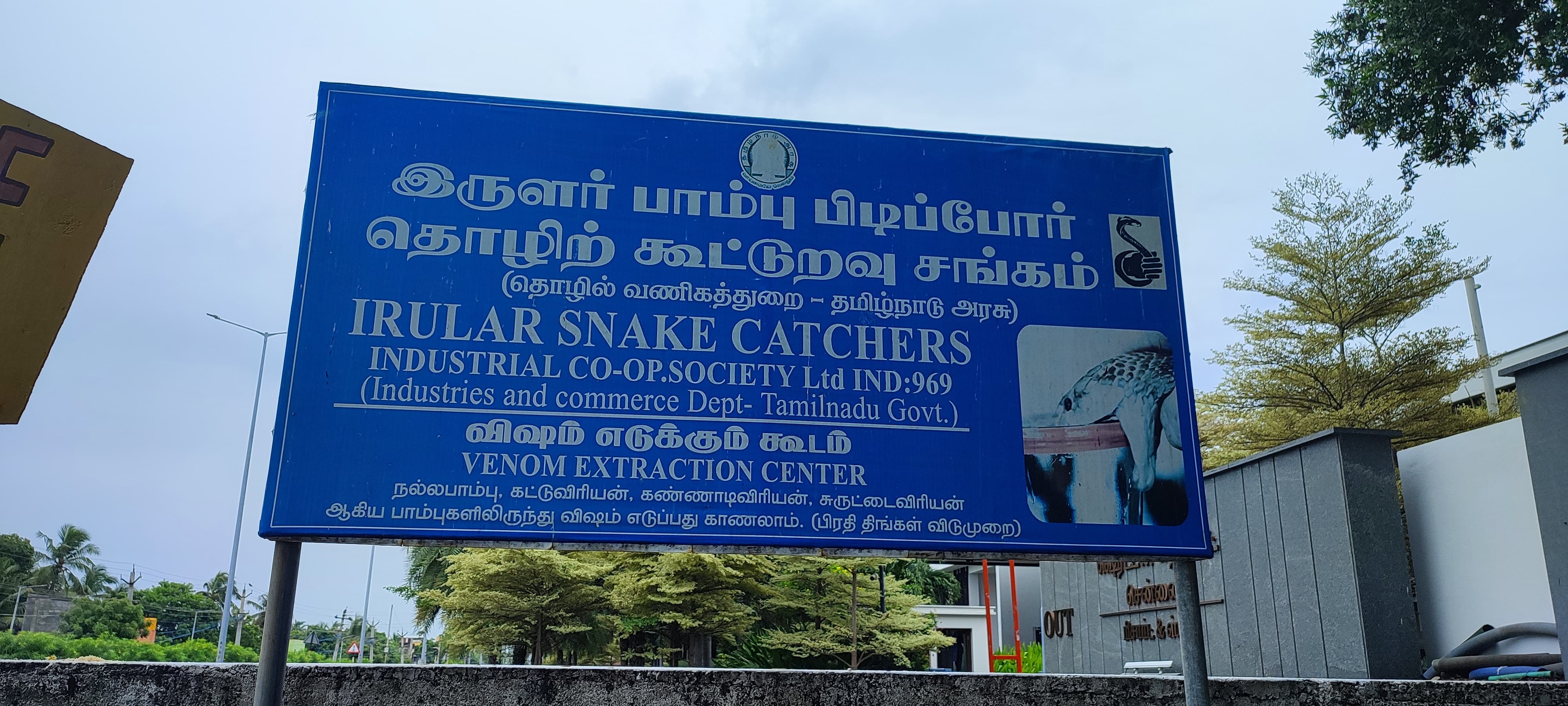 Irula Snake Catchers