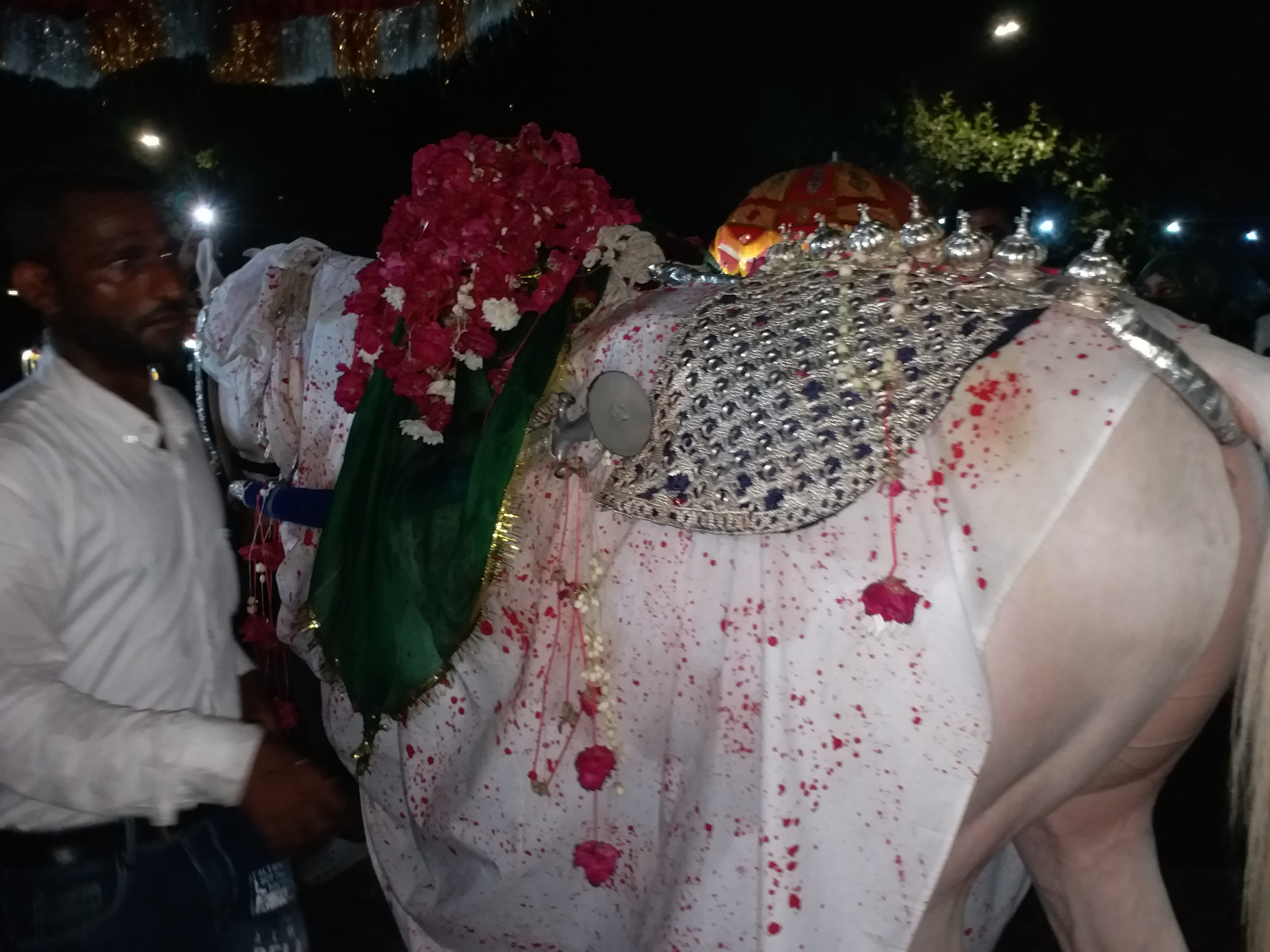 The hundreds of years old traditional procession of Hazrat Qasim mehndi was carried out in royal style