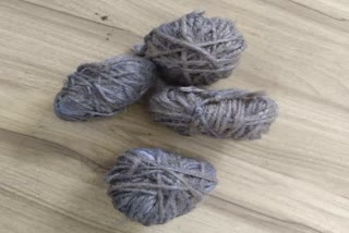 indore police Arrest 2 Youth with Bombs