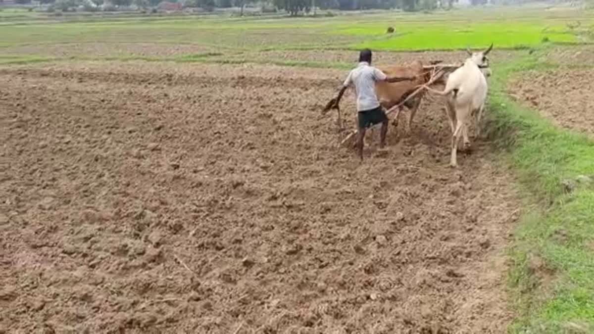 Jharkhand Farmers