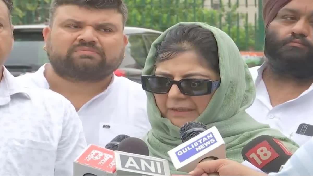 Mehbooba on Article 370 Hearing