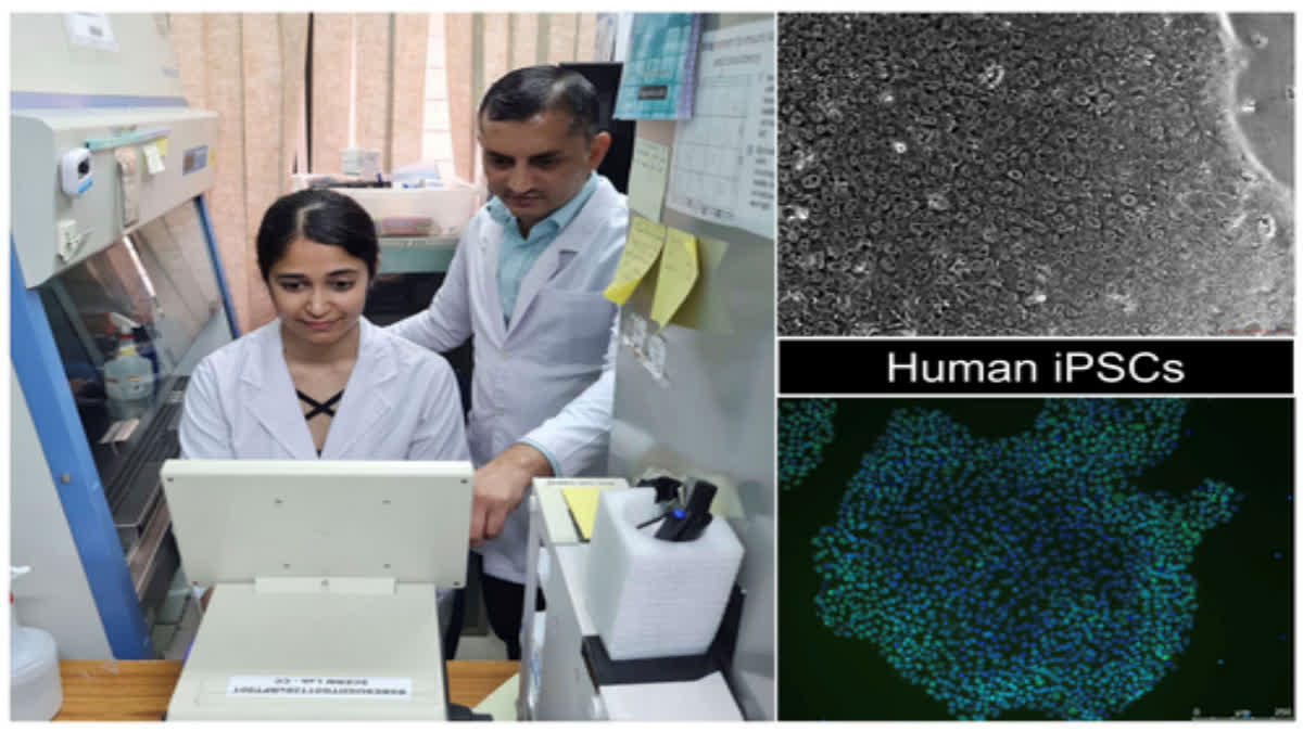 Researchers from IIT Guwahati produce pluripotent stem cells from skin cells