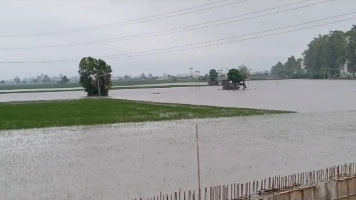 vegetable farming in haryana