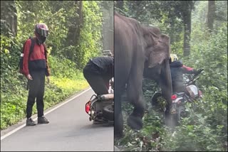 Wild Elephant Runs towards Bikers  Narrow Escape for Karnataka Youngsters  Wild Elephant attack  ಯುವಕರ ಬೈಕ್​ನತ್ತ ನುಗ್ಗಿದ ಕಾಡಾನೆ  ಕೂದಲೆಳೆ ಅಂತರದಲ್ಲಿ ತಪ್ಪಿಸಿಕೊಂಡ ಕರ್ನಾಟಕದ ನಿವಾಸಿಗಳು  ಪ್ರಾಣ ಉಳಿಸಿಕೊಳ್ಳಲು ಬೈಕ್​ ಬಿಟ್ಟು ಓಡಿ  ದೃಶ್ಯ ಇವಾಗ ಎಲ್ಲೆಡೆ ವೈರಲ್  ವಯನಾಡ್ ವನ್ಯಜೀವಿ ಅಭಯಾರಣ್ಯದ ಮುತಂಗ  ಬೈಕ್​ ಮೇಲೆ ಆನೆ ದಾಳಿ  ಹುಲಿ ದಾಳಿಯಿಂದ ಪಾರಾಗುವ ಆಘಾತಕಾರಿ ದೃಶ್ಯ