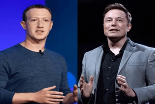Mark Zuckerberg , Elon Musk