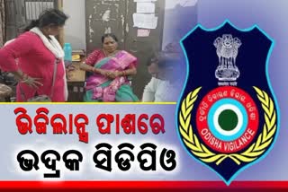 bhadrak cdpo under vigilance scanner