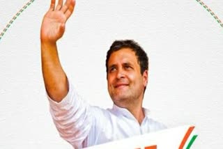 Rahul Gandhi's Bharat Jodo Yatra