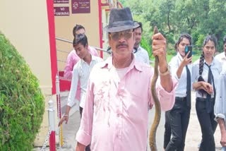 snake rescue in sagar
