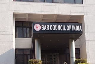 बार काउंसिल ऑफ इंडिया